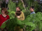 Filename=ariane179254_StarTrek_1x15_ShoreLeave_0610.jpg
Filesize=173KiB
Dimensions=1440x1080
Date added=Mar 17, 2015 ariane179254_StarTrek_1x15_ShoreLeave_0610.jpg