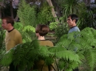 ariane179254_StarTrek_1x15_ShoreLeave_0611.jpg