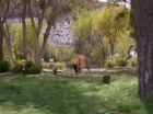 Filename=ariane179254_StarTrek_1x15_ShoreLeave_0750.jpg
Filesize=168KiB
Dimensions=1440x1080
Date added=Mar 17, 2015 ariane179254_StarTrek_1x15_ShoreLeave_0750.jpg