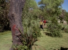 Filename=ariane179254_StarTrek_1x15_ShoreLeave_0758.jpg
Filesize=220KiB
Dimensions=1440x1080
Date added=Mar 17, 2015 ariane179254_StarTrek_1x15_ShoreLeave_0758.jpg