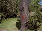 Filename=ariane179254_StarTrek_1x15_ShoreLeave_0759.jpg
Filesize=199KiB
Dimensions=1440x1080
Date added=Mar 17, 2015 ariane179254_StarTrek_1x15_ShoreLeave_0759.jpg