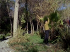 Filename=ariane179254_StarTrek_1x15_ShoreLeave_0767.jpg
Filesize=223KiB
Dimensions=1440x1080
Date added=Mar 17, 2015 ariane179254_StarTrek_1x15_ShoreLeave_0767.jpg