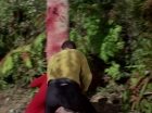 Filename=ariane179254_StarTrek_1x15_ShoreLeave_1081.jpg
Filesize=129KiB
Dimensions=1440x1080
Date added=Mar 17, 2015 ariane179254_StarTrek_1x15_ShoreLeave_1081.jpg