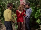 Filename=ariane179254_StarTrek_1x15_ShoreLeave_1091.jpg
Filesize=175KiB
Dimensions=1440x1080
Date added=Mar 17, 2015 ariane179254_StarTrek_1x15_ShoreLeave_1091.jpg