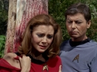 Filename=ariane179254_StarTrek_1x15_ShoreLeave_1117.jpg
Filesize=149KiB
Dimensions=1440x1080
Date added=Mar 17, 2015 ariane179254_StarTrek_1x15_ShoreLeave_1117.jpg