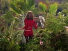 Filename=ariane179254_StarTrek_1x15_ShoreLeave_1643.jpg
Filesize=204KiB
Dimensions=1440x1080
Date added=Mar 17, 2015 ariane179254_StarTrek_1x15_ShoreLeave_1643.jpg