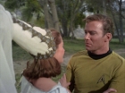 Filename=ariane179254_StarTrek_1x15_ShoreLeave_2246.jpg
Filesize=122KiB
Dimensions=1440x1080
Date added=Mar 17, 2015 ariane179254_StarTrek_1x15_ShoreLeave_2246.jpg