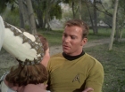 Filename=ariane179254_StarTrek_1x15_ShoreLeave_2247.jpg
Filesize=115KiB
Dimensions=1440x1080
Date added=Mar 17, 2015 ariane179254_StarTrek_1x15_ShoreLeave_2247.jpg