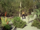 Filename=ariane179254_StarTrek_1x15_ShoreLeave_2604.jpg
Filesize=192KiB
Dimensions=1440x1080
Date added=Mar 17, 2015 ariane179254_StarTrek_1x15_ShoreLeave_2604.jpg