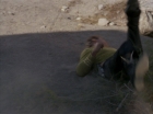 Filename=ariane179254_StarTrek_1x15_ShoreLeave_2690.jpg
Filesize=81KiB
Dimensions=1440x1080
Date added=Mar 17, 2015 ariane179254_StarTrek_1x15_ShoreLeave_2690.jpg