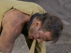 Filename=ariane179254_StarTrek_1x15_ShoreLeave_2926.jpg
Filesize=95KiB
Dimensions=1440x1080
Date added=Mar 17, 2015 ariane179254_StarTrek_1x15_ShoreLeave_2926.jpg