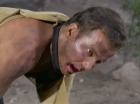 Filename=ariane179254_StarTrek_1x15_ShoreLeave_2928.jpg
Filesize=85KiB
Dimensions=1440x1080
Date added=Mar 17, 2015 ariane179254_StarTrek_1x15_ShoreLeave_2928.jpg