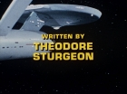 Filename=ariane179254_StarTrek_1x15_ShoreLeave_3555.jpg
Filesize=89KiB
Dimensions=1440x1080
Date added=Mar 17, 2015 ariane179254_StarTrek_1x15_ShoreLeave_3555.jpg