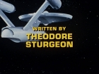 Filename=ariane179254_StarTrek_1x15_ShoreLeave_3556.jpg
Filesize=88KiB
Dimensions=1440x1080
Date added=Mar 17, 2015 ariane179254_StarTrek_1x15_ShoreLeave_3556.jpg