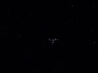 ariane179254_StarTrek_1x15_ShoreLeave-NewEffects_0268.jpg