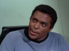 Filename=ariane179254_StarTrek_1x16_TheGalileoSeven_0855.jpg
Filesize=109KiB
Dimensions=1440x1080
Date added=Aug 29, 2015 ariane179254_StarTrek_1x16_TheGalileoSeven_0855.jpg