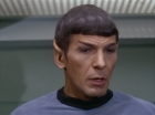 Filename=ariane179254_StarTrek_1x16_TheGalileoSeven_0856.jpg
Filesize=104KiB
Dimensions=1440x1080
Date added=Aug 29, 2015 ariane179254_StarTrek_1x16_TheGalileoSeven_0856.jpg