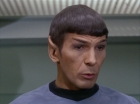 Filename=ariane179254_StarTrek_1x16_TheGalileoSeven_0871.jpg
Filesize=99KiB
Dimensions=1440x1080
Date added=Aug 29, 2015 ariane179254_StarTrek_1x16_TheGalileoSeven_0871.jpg