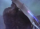 Filename=ariane179254_StarTrek_1x16_TheGalileoSeven_1533.jpg
Filesize=93KiB
Dimensions=1440x1080
Date added=Aug 29, 2015 ariane179254_StarTrek_1x16_TheGalileoSeven_1533.jpg