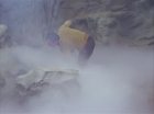 Filename=ariane179254_StarTrek_1x16_TheGalileoSeven_1806.jpg
Filesize=89KiB
Dimensions=1440x1080
Date added=Aug 29, 2015 ariane179254_StarTrek_1x16_TheGalileoSeven_1806.jpg