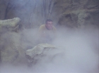 Filename=ariane179254_StarTrek_1x16_TheGalileoSeven_1807.jpg
Filesize=93KiB
Dimensions=1440x1080
Date added=Aug 29, 2015 ariane179254_StarTrek_1x16_TheGalileoSeven_1807.jpg