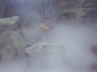 Filename=ariane179254_StarTrek_1x16_TheGalileoSeven_1808.jpg
Filesize=98KiB
Dimensions=1440x1080
Date added=Aug 29, 2015 ariane179254_StarTrek_1x16_TheGalileoSeven_1808.jpg