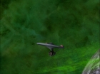 ariane179254_StarTrek_1x16_TheGalileoSeven-NewEffects_0337.jpg