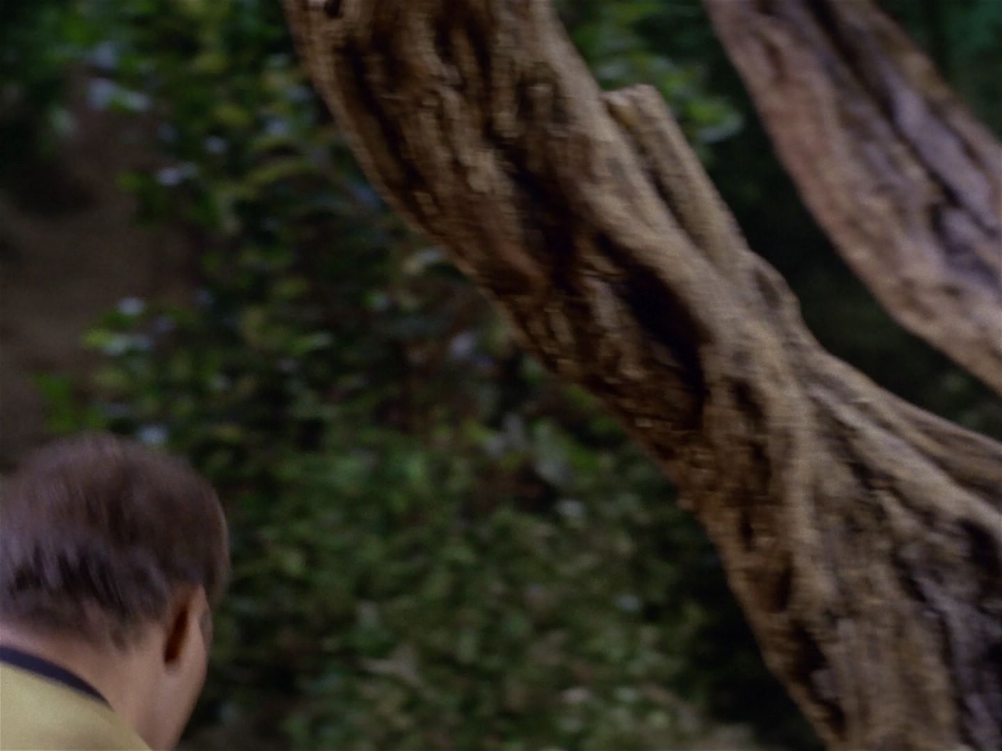 ariane179254_StarTrek_1x17_TheSquireOfGothos_2847.jpg
