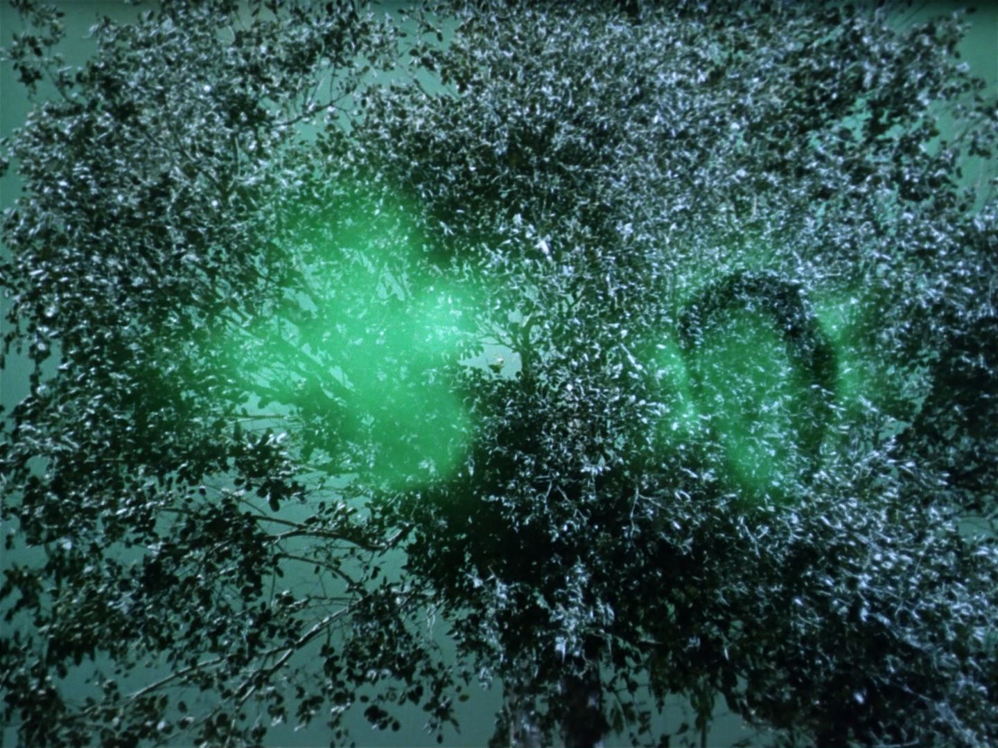 ariane179254_StarTrek_1x17_TheSquireOfGothos_3034.jpg