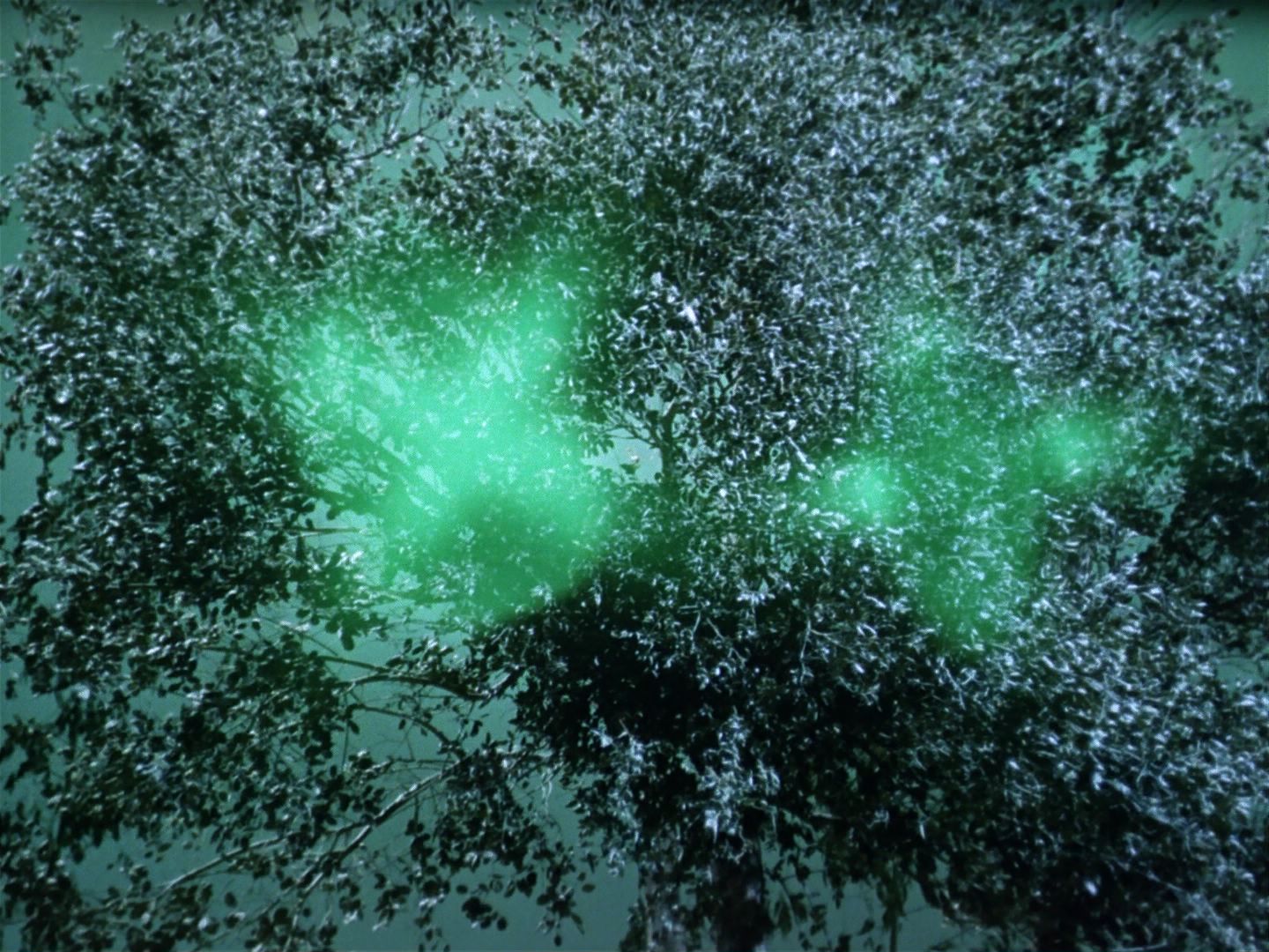 ariane179254_StarTrek_1x17_TheSquireOfGothos_3100.jpg
