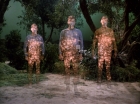 Filename=ariane179254_StarTrek_1x17_TheSquireOfGothos_0433.jpg
Filesize=185KiB
Dimensions=1440x1080
Date added=Aug 30, 2015 ariane179254_StarTrek_1x17_TheSquireOfGothos_0433.jpg