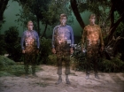 Filename=ariane179254_StarTrek_1x17_TheSquireOfGothos_0434.jpg
Filesize=181KiB
Dimensions=1440x1080
Date added=Aug 30, 2015 ariane179254_StarTrek_1x17_TheSquireOfGothos_0434.jpg