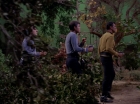 Filename=ariane179254_StarTrek_1x17_TheSquireOfGothos_0517.jpg
Filesize=163KiB
Dimensions=1440x1080
Date added=Aug 30, 2015 ariane179254_StarTrek_1x17_TheSquireOfGothos_0517.jpg