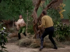 Filename=ariane179254_StarTrek_1x17_TheSquireOfGothos_2779.jpg
Filesize=210KiB
Dimensions=1440x1080
Date added=Aug 30, 2015 ariane179254_StarTrek_1x17_TheSquireOfGothos_2779.jpg