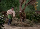 Filename=ariane179254_StarTrek_1x17_TheSquireOfGothos_2780.jpg
Filesize=217KiB
Dimensions=1440x1080
Date added=Aug 30, 2015 ariane179254_StarTrek_1x17_TheSquireOfGothos_2780.jpg