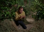 Filename=ariane179254_StarTrek_1x17_TheSquireOfGothos_2792.jpg
Filesize=214KiB
Dimensions=1440x1080
Date added=Aug 30, 2015 ariane179254_StarTrek_1x17_TheSquireOfGothos_2792.jpg