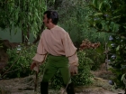 Filename=ariane179254_StarTrek_1x17_TheSquireOfGothos_2796.jpg
Filesize=191KiB
Dimensions=1440x1080
Date added=Aug 30, 2015 ariane179254_StarTrek_1x17_TheSquireOfGothos_2796.jpg