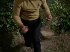 Filename=ariane179254_StarTrek_1x17_TheSquireOfGothos_2798.jpg
Filesize=153KiB
Dimensions=1440x1080
Date added=Aug 30, 2015 ariane179254_StarTrek_1x17_TheSquireOfGothos_2798.jpg
