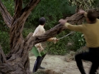 Filename=ariane179254_StarTrek_1x17_TheSquireOfGothos_2815.jpg
Filesize=200KiB
Dimensions=1440x1080
Date added=Aug 30, 2015 ariane179254_StarTrek_1x17_TheSquireOfGothos_2815.jpg