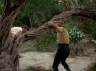 Filename=ariane179254_StarTrek_1x17_TheSquireOfGothos_2817.jpg
Filesize=216KiB
Dimensions=1440x1080
Date added=Aug 30, 2015 ariane179254_StarTrek_1x17_TheSquireOfGothos_2817.jpg
