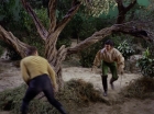 Filename=ariane179254_StarTrek_1x17_TheSquireOfGothos_2844.jpg
Filesize=212KiB
Dimensions=1440x1080
Date added=Aug 30, 2015 ariane179254_StarTrek_1x17_TheSquireOfGothos_2844.jpg
