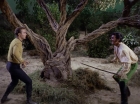Filename=ariane179254_StarTrek_1x17_TheSquireOfGothos_2845.jpg
Filesize=215KiB
Dimensions=1440x1080
Date added=Aug 30, 2015 ariane179254_StarTrek_1x17_TheSquireOfGothos_2845.jpg