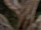 Filename=ariane179254_StarTrek_1x17_TheSquireOfGothos_2848.jpg
Filesize=78KiB
Dimensions=1440x1080
Date added=Aug 30, 2015 ariane179254_StarTrek_1x17_TheSquireOfGothos_2848.jpg