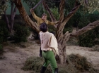 Filename=ariane179254_StarTrek_1x17_TheSquireOfGothos_2850.jpg
Filesize=195KiB
Dimensions=1440x1080
Date added=Aug 30, 2015 ariane179254_StarTrek_1x17_TheSquireOfGothos_2850.jpg
