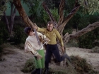 Filename=ariane179254_StarTrek_1x17_TheSquireOfGothos_2855.jpg
Filesize=167KiB
Dimensions=1440x1080
Date added=Aug 30, 2015 ariane179254_StarTrek_1x17_TheSquireOfGothos_2855.jpg