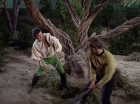 Filename=ariane179254_StarTrek_1x17_TheSquireOfGothos_2856.jpg
Filesize=194KiB
Dimensions=1440x1080
Date added=Aug 30, 2015 ariane179254_StarTrek_1x17_TheSquireOfGothos_2856.jpg