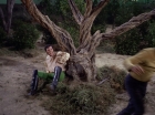 Filename=ariane179254_StarTrek_1x17_TheSquireOfGothos_2862.jpg
Filesize=208KiB
Dimensions=1440x1080
Date added=Aug 30, 2015 ariane179254_StarTrek_1x17_TheSquireOfGothos_2862.jpg