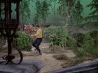 Filename=ariane179254_StarTrek_1x17_TheSquireOfGothos_2869.jpg
Filesize=204KiB
Dimensions=1440x1080
Date added=Aug 30, 2015 ariane179254_StarTrek_1x17_TheSquireOfGothos_2869.jpg