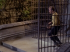 Filename=ariane179254_StarTrek_1x17_TheSquireOfGothos_2903.jpg
Filesize=157KiB
Dimensions=1440x1080
Date added=Aug 30, 2015 ariane179254_StarTrek_1x17_TheSquireOfGothos_2903.jpg