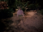Filename=ariane179254_StarTrek_1x17_TheSquireOfGothos_3074.jpg
Filesize=121KiB
Dimensions=1440x1080
Date added=Aug 30, 2015 ariane179254_StarTrek_1x17_TheSquireOfGothos_3074.jpg
